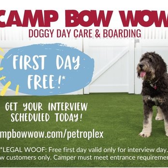 Camp Bow Wow - Pet Boarding Near Me - Odessa, Texas