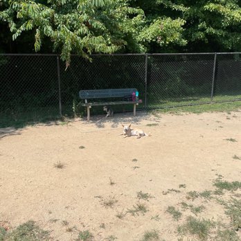 Perry Paw Dog Park - Dog Parks Near Me - Perry Hall, Maryland Perry Paw Dog Park - Dog Parks Near Me - Perry Hall, Maryland