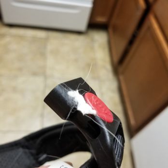 Buddies - Paint stuck to Sonny's harness that happened at Boogie Time. - Pet Groomers Near Me - Las Vegas, Nevada