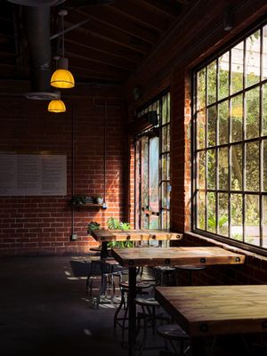 The Sycamore Kitchen by null