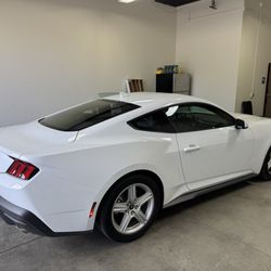 Orange Tint Shop