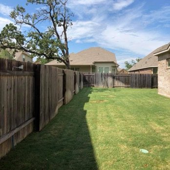 Green Maple Tree Service - After - Tree Services Near Me