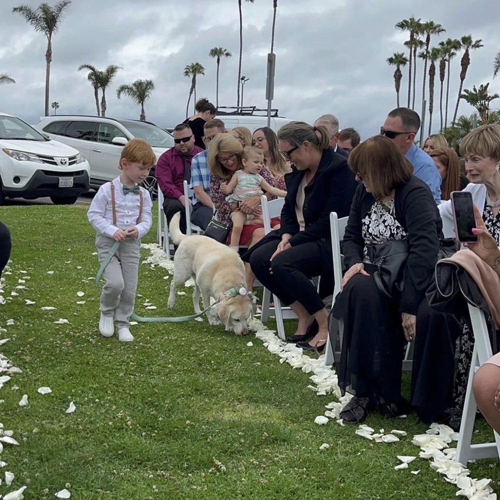 BeLoved Pet Sitting - Pet Sitting Near Me - San Diego, California BeLoved Pet Sitting - Pet Sitting Near Me - San Diego, California
