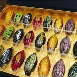 Cylie Artisans Chocolatiers - Handpainted Chocolate BonBon Gift Set