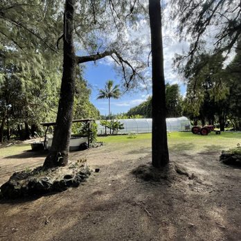 Paradise Meadows, South Point Road - Tours Near Me - Naalehu, Hawaii