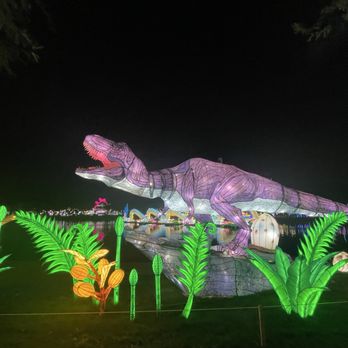 Tianyu Lights Festival - Festivals Near Me - Phoenix, Arizona Tianyu Lights Festival - Festivals Near Me - Phoenix, Arizona