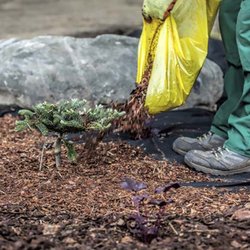 Pope's Mulch, Dirt & Sand