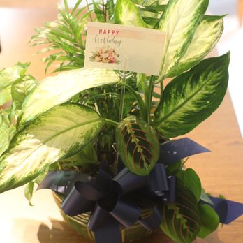 Gunston Flowers - Florists Near Me - Lorton, Virginia Gunston Flowers - Florists Near Me - Lorton, Virginia