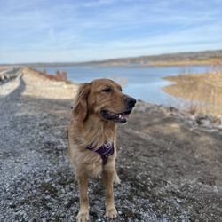 Raccoon Mountain Recreation Area and Trails - River