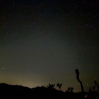 Joshua Tree National Park - Parks Near Me - Joshua Tree, California