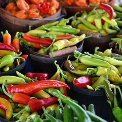 Minneapolis Farmers Market