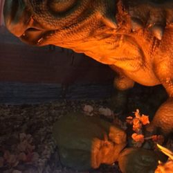 T Rex Planet