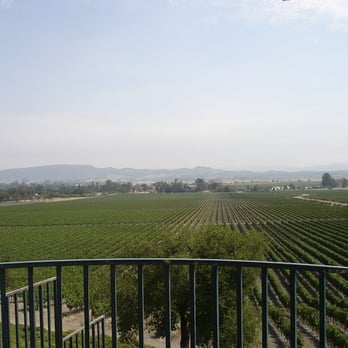 Gloria Ferrer Winery - View from the Terrace - Wineries Near Me - Sonoma, California