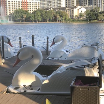 Swan Boat Rentals - Boating Near Me - Orlando, Florida Swan Boat Rentals - Boating Near Me - Orlando, Florida