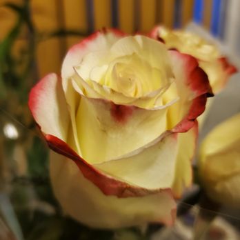 Ta Massage - Massage Therapy Near Me - San Diego, California Ta Massage - Massage Therapy Near Me - San Diego, California