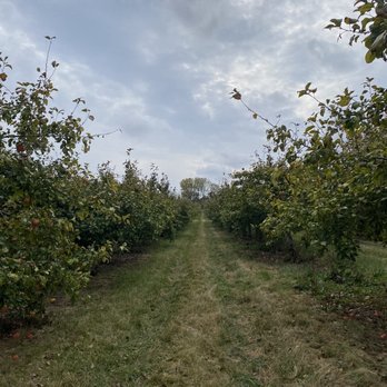 Apple Barn Orchard & Winery - apple orchard - Wineries Near Me - Elkhorn, Wisconsin Apple Barn Orchard & Winery - apple orchard - Wineries Near Me - Elkhorn, Wisconsin