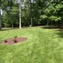 Photo of Grizzly Tree Removal  Service