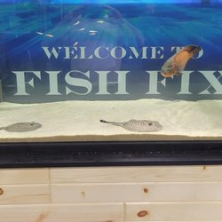 Fish Fix