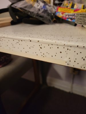 Hotel del Flores by null