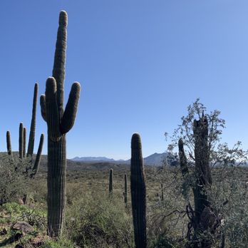 Spur Cross Ranch Conservation Area - Parks Near Me - Cave Creek, Arizona