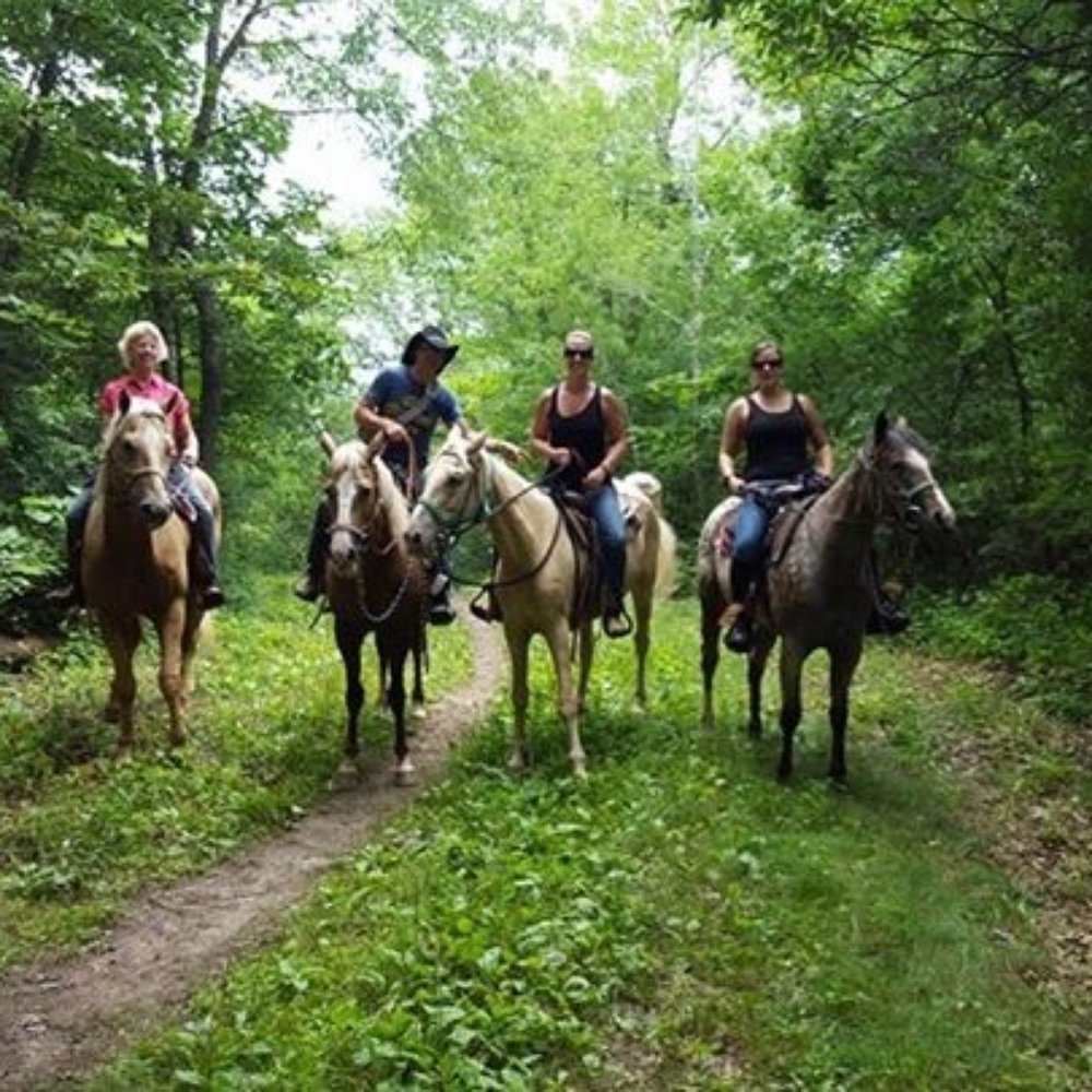 Our trail group for the day Our trail group for the day