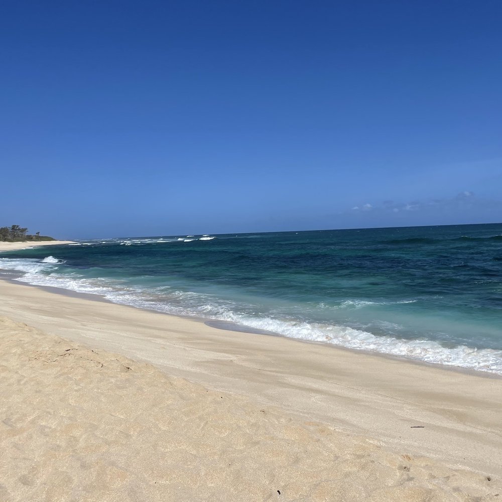 KOS Tours - Plane crash beach - Tours Near Me - Honolulu, Hawaii KOS Tours - Plane crash beach - Tours Near Me - Honolulu, Hawaii