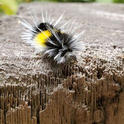 Best National Parks Near Me July 2020 Find Nearby National