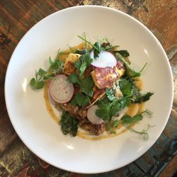 Spruce Goose - Quinoa+Halloumi Supper Salad