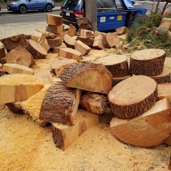 One Two Tree Care - Tree Services Near Me - Tracy, California