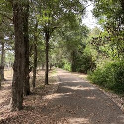 Walking on the paved path through the park.