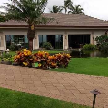 The Whaler On Kaanapali Beach - Exit to Paradise... - Vacation Rentals Near Me - Lahaina, Hawaii The Whaler On Kaanapali Beach - Exit to Paradise... - Vacation Rentals Near Me - Lahaina, Hawaii