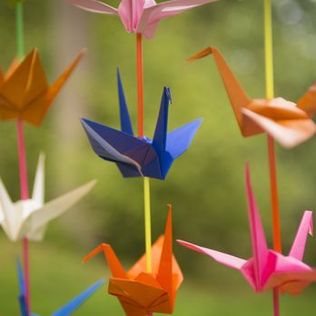 Paper Cranes Therapy - Play therapy and experiential therapy such as painting, drawing and crafting are core to my practce. - Counseling & Mental Health Near Me - Sandpoint, Idaho Paper Cranes Therapy - Play therapy and experiential therapy such as painting, drawing and crafting are core to my practce. - Counseling & Mental Health Near Me - Sandpoint, Idaho