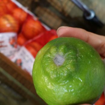 H Mart - Cary - This wasn't just a single lime. Most of the bin was moldy. - Grocery Near Me - Cary, North Carolina
