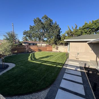 Golden Edge Lawn Service - Finished. 1 month later after sod was laid out and after the first cut of grass. - Lawn Services Near Me Golden Edge Lawn Service - Finished. 1 month later after sod was laid out and after the first cut of grass. - Lawn Services Near Me