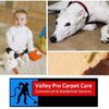 Valley Pro Carpet Care gift card