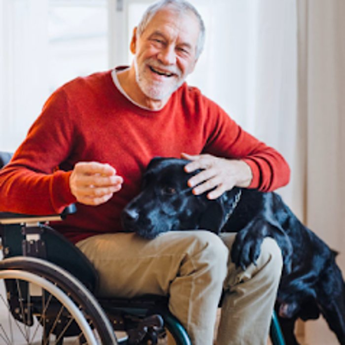 Heavenly Comfort - grief counselor in Detroit, MI