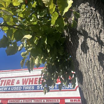 Tire and Wheel Mart - Waiting for my lil black beauty - Auto Repair Near Me - Hayward, California