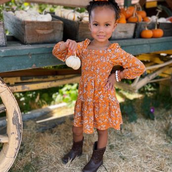 Zittel Farms - Baby pumpkins - Farms Near Me - Folsom, California Zittel Farms - Baby pumpkins - Farms Near Me - Folsom, California