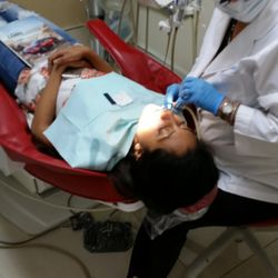 Olga L Reyes, DDS