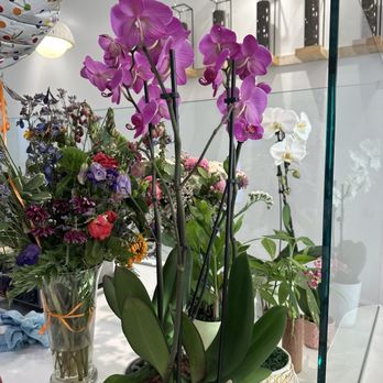 Tea Leaf and Creamery - Decorations - Desserts Near Me - Tucson, Arizona