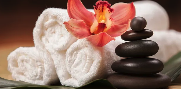 The Spa at Nacoochee Crossing Logo