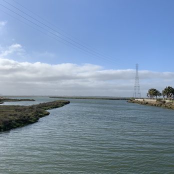 Bair Island - Bair Island 5-29-2021 - Parks Near Me - Redwood City, California