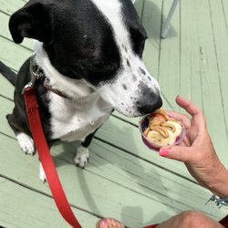 Beach Bowls - Joe Burrow and her pup cup