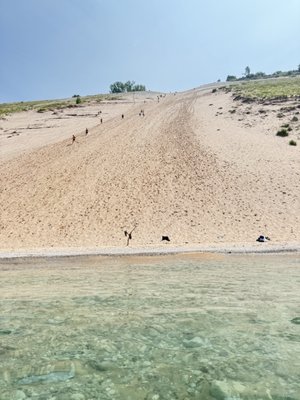Sleeping Bear Dunes by null