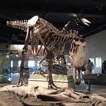 Field Museum - Museums Near Me - Chicago, Illinois
