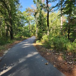 Stono River County Park - Gorgeous trails