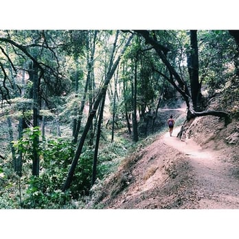 Monrovia Canyon Park - Such a beautiful well kept shaded trail.. - Hiking Near Me - Monrovia, California Monrovia Canyon Park - Such a beautiful well kept shaded trail.. - Hiking Near Me - Monrovia, California
