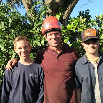 Clovis Tree Care - Tree Services Near Me - Clovis, California Clovis Tree Care - Tree Services Near Me - Clovis, California