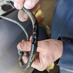 A & E Automotive - rodent damage to windshield washer fluid hose