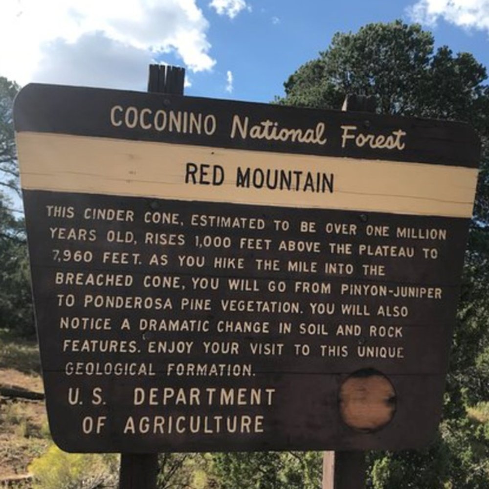 Red Mountain Trail - Hiking Near Me - Flagstaff, Arizona Red Mountain Trail - Hiking Near Me - Flagstaff, Arizona